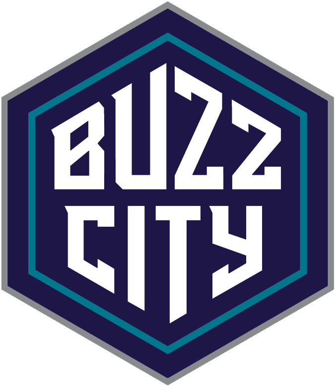 Charlotte Hornets 2014-Pres Alternate Logo t shirts iron on transfers